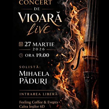 Concert de vioară live