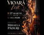 Live Violin Concert