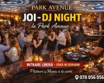 Dj Night at Park Avenue