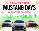 Mustang Days