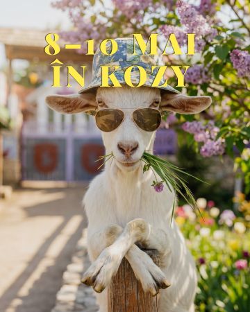 Weekend în Orașul KOZY