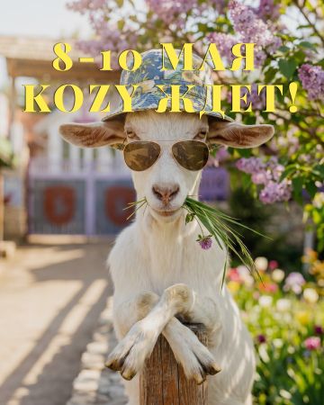 Weekend în Orașul KOZY