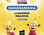 BANANAMANIA la Shopping MallDova!