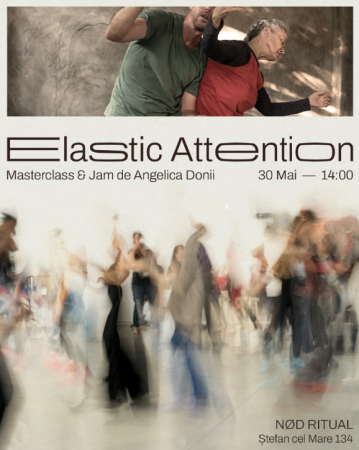 Elastic Attention