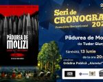 Seri de CRONOGRAF 2026