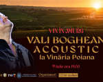 Vin în Amurg