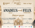 Amadeus meets Felix