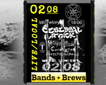 Bands + Brews