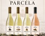 Degustare Vinuri Purcari Parcela