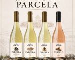 Degustare Vinuri Purcari Parcela