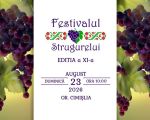 Festivalul Național al Strugurelui, ediția a XI-a