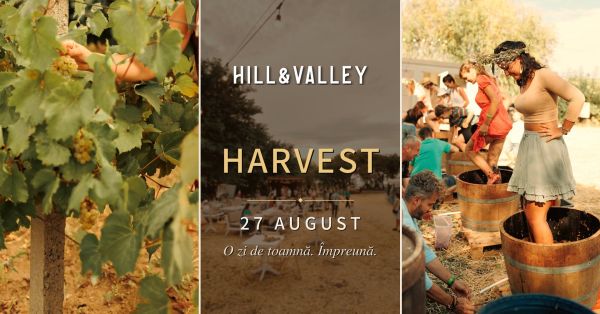Harvest la Hill&Valley