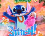 Stitch vine la Wonderland