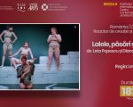 FITC presents: Lalele, pasari si beton, Romania, Cluj Napoca