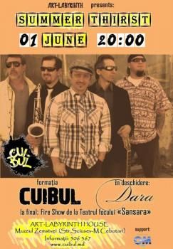 Concert - trupa Cuibul