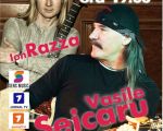Vasile Seicaru