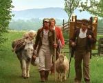 "Tischlein deck dich" Movie