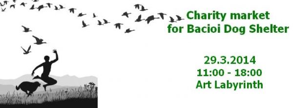 Charity market: For Bacioi Dog Shelter
