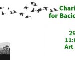 Charity market: For Bacioi Dog Shelter