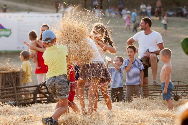 Festivalul Gustar 2014