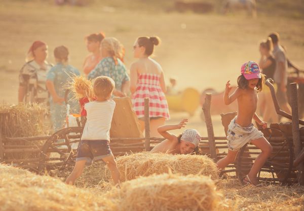Festivalul Gustar 2014