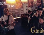 Moldcell Plugged IN: Gandul Matei