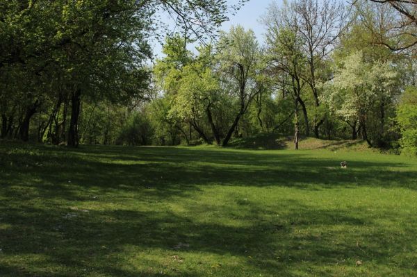 "Art-Labyrinth Summer Festival 2015" Festivalul