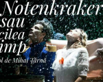 "Notenkraker" Performance