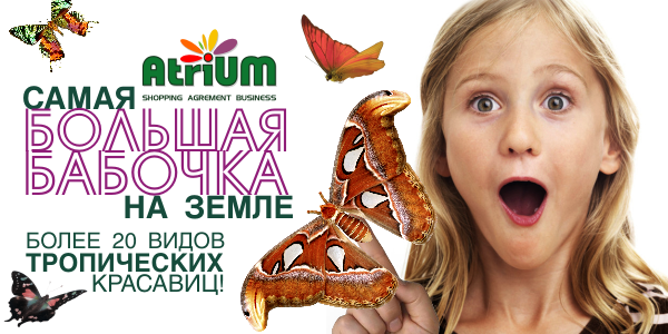 Планета бабочек