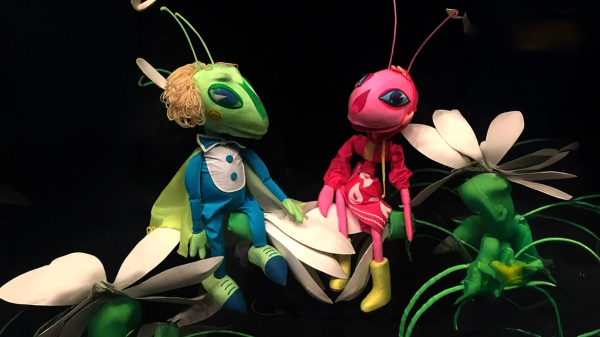 "Sing, Cricket!" Performance