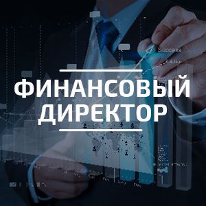 Курс "Финансовый директор"