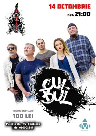 Cuibul
