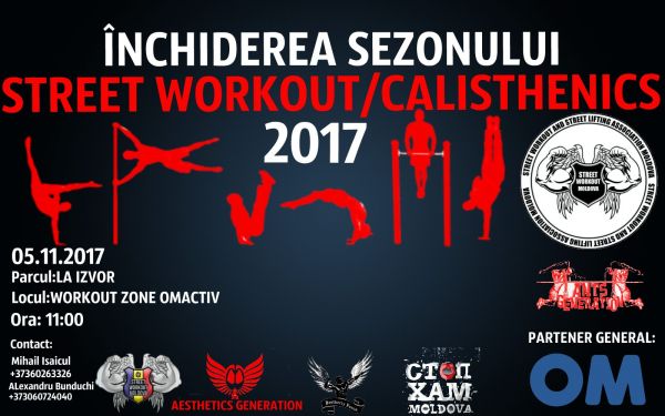 Street Workout / Calisthenics 2017