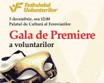 Festivalul Voluntarilor 2017