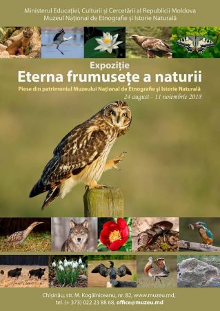 Inaugurarea expoziției "Eterna frumusețe a naturii"
