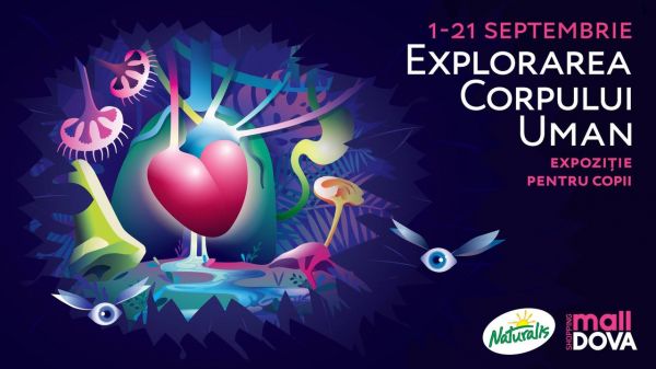 Exploring the Human Body at Shopping MallDova