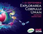Exploring the Human Body at Shopping MallDova