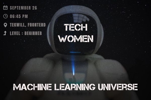Machine Learning Universe
