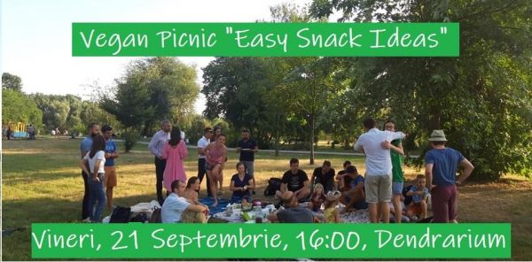 Vegan Picnic "Easy Snack Ideas"