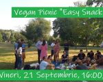 Vegan Picnic "Easy Snack Ideas"