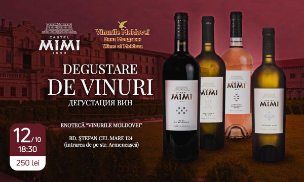 Wine tasting "Castel Mimi"