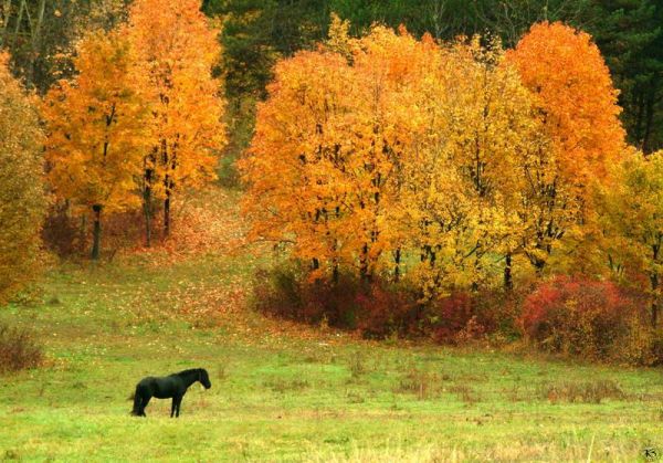 Breath of autumn in Moldova