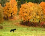 Breath of autumn in Moldova