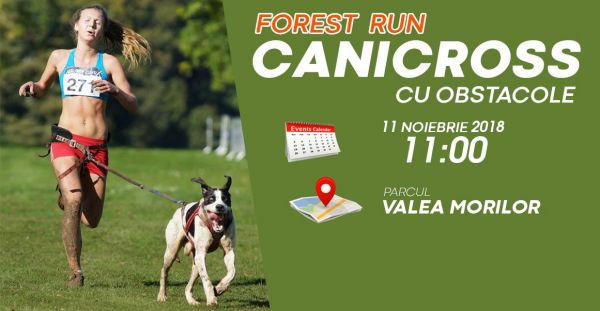 Forest RUN