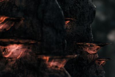 "Monsters" Movie