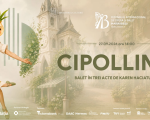 Cipollino