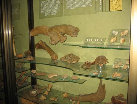 "Nature. Human. Culture" Exhibition