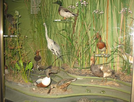"Nature. Human. Culture" Exhibition