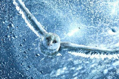 "Legend of the Guardians: The Owls of Ga'Hoole" 3D Movie