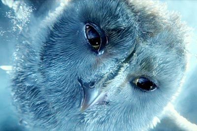 "Legend of the Guardians: The Owls of Ga'Hoole" 3D Movie